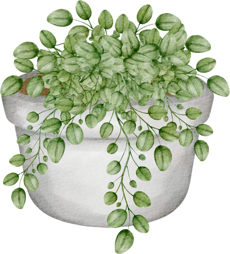 watercolor houseplant